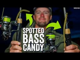 Neko Rig & Shakey Head...The Only Spotted Bass Baits You Need!
