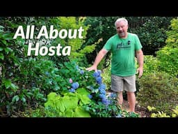 All About Hosta
