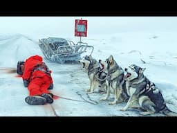 Dogs are STUCK in SNOW for 180 DAYS waiting for their OWNER to RETURN but NOBODY SHOWS UP to help