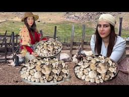 Forest Bounty to Table: A Simple Vegetarian Mushroom Delight