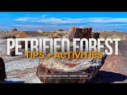 109: Exploring Petrified Forest National Park: Best Tips + Activities