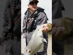 We caught some MONSTER crappie! Check our latest video to see how! #crappie #fishing #ky #outdoors