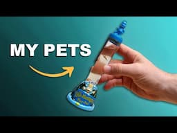 The Portable Sea-Monkey Carrier | Port-A-Pet Playpen Unboxing & Review