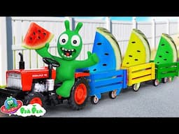 Pea Pea Harvest Colorful Watermelon 🍉 Fun Farm Day Adventure | Cartoon for Kids