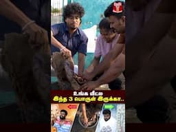 வீட்டை குளுகுளுன்னு வைக்க இத பண்ணுங்க