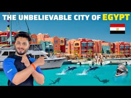 Scuba Diving with Dolphins in Red Sea, Egypt! 🇪🇬