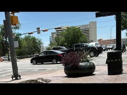 Hunting for Tesla Robotaxi