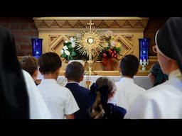The Catholic Miracle School
