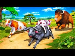 Angry Buffalo Rampage! Chases Cow & Calf Until Bison Joins for Epic Rescue and Wild Adventure