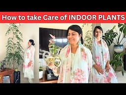 HOW TO TAKE CARE OF INDOOR PLANTS || AIR PURIFIER || Soil, Watering & Position
