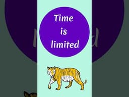 A Lesson on Speed - Achieving your goals 10x faster