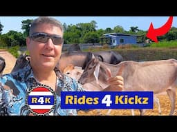 Finding My New Home in Rural Thailand