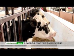 Dairy farming success story |part 2| - FarmKenya