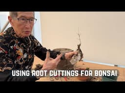 Using Root Cuttings for Bonsai