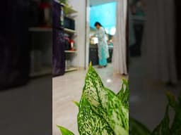 अपने आप कुछ नही होता, करना पड़ता है #homeorganization #habitsforcleanhouse #home #minivlog