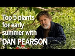 Dan Pearson's top 5 garden plants for early summer | Designer plant picks for May + June