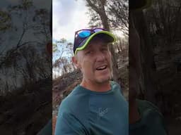 parkrun in Hobart & Salamanca Markets