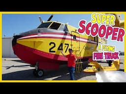 Super Scooper Water Bomber with Matty Crayon | A Flying Fire Truck | Wildfires for kids