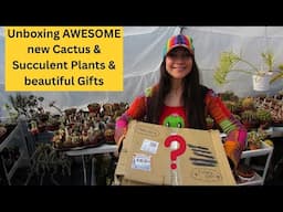Unboxing AWESOME new Cactus & Succulent Plants & beautiful Gifts #cactus #cacti