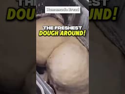 We have the THICKEST dough around. 😎 #shorts #amano #pizza #comedy #funny #lol #food #foodie