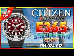 Brand New Citizen Promaster E-365 300m Quartz Diver BN1024-01Z + Possible Unite with Blue Colorway?