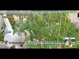 النظام الجديد للزراعة المائية uae640plus