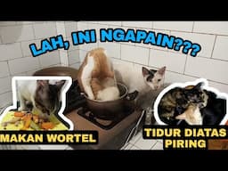 BERBAGAI MACAM TINGKAH ANAK-ANAK MAMI DI DAPUR