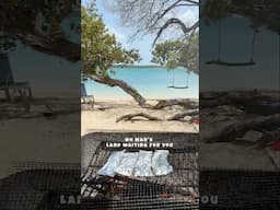 Caribbean family No Mans Land in Tobago! 🇹🇹🦞🐟🍤🍗🏖️ 📱 +1 (868) 703-9939