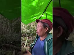 #dayak #dayakterbaru #youtubeshorts #gadisdayak #minivlog