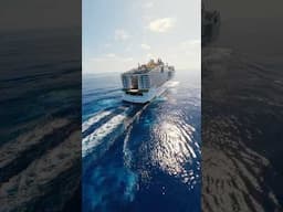 Blink and you may miss it. Your one-shot of World Galleria… #MSCWorldAmerica #MSCCruises
