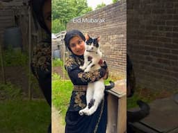 Eid Mubarak from us! #shorts #eid #london #cutecat