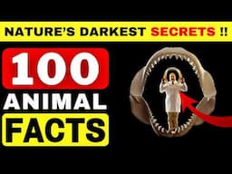100 Animal Secrets - These FACTS Will Blow Your Mind! [ Part 03 ]