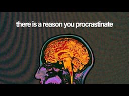 The Science of Effortless Productivity