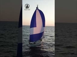 Spinnakers and Sunrises, What could be better? #sea #travel #boat #solosailing #sailing #sailboat