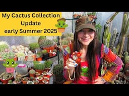 My Cactus Collection Update early Summer 2025 | Cactus Collection #cacti #cactus