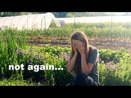 I Failed. 10 Tips to Recover from Garden Setbacks
