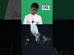 Foamy Bubbles Experiment with Hydrogen Peroxide! | Easy DIY Science at Home |