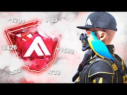 ROAD TO RUBY [ep.2] - Leaving Gold behind