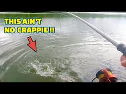 A DEADLY LITTLE FISHING LURE that will CATCH FISH in any POND/SMALL LAKE !!