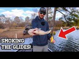 Got on a SICK Glidebait Bite!! (KGB Chad Shad)