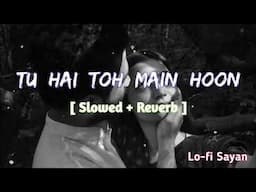 Tu Hain Toh Main Hoon (Slowed + Reverb) | Arijit Singh, Afsana Khan | Sky Force | musichub 2.0