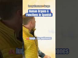 🫁Human Organs & Functions in Spanish: the lungs - los pulmones #medicalspanish #learnspanish