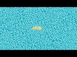 Snake io Lovely Snake Pro Skill Best Snake io Gameplay!
