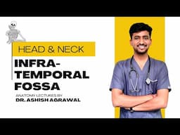 Infratemporal Fossa || Head And Neck Anatomy || First Year MBBS || Anatomy Lectures by Ashish