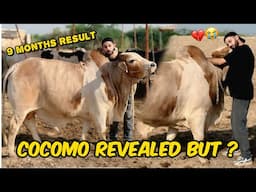 MERA PYAARA COCOMO CHALA GAYA😭💔 ALVIDA MERE DOST😰