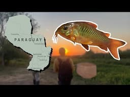 The Beautiful Wildlife of Paraguay