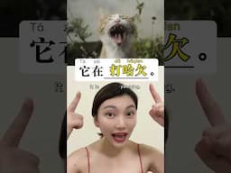 how to say these actions in Chinese? #inchinese #hskk #中文 #打喷嚏