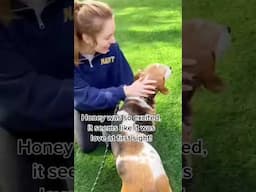 10 year old dog finally finds forever home 🥹 "Full video ☝️"