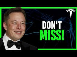 Why Tesla Stock (TSLA) Will Go 2X In The UPCOMING Year!