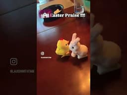 A Good Easter Praise !!!!!